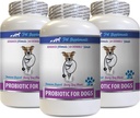 Well and Good Dog Diarrhea - PROBIOTICS für Hunde - Gesundes Gut - Stop Gas Durchfall und Bad Breath - Digestive Boost - Dog Probiotics Diarrhea - 3 Flaschen (180 Bäume)