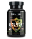 Leviathan Nutrition GI | Fördert gesundes Gut Gesundheit & Gut Bakterien - MicroBiome Bloating Balance Probiotic & Darm Futter Gesundheit mit Zink-L-Carnosin, Butyrate, & DGL Supplement - 120 Kapseln