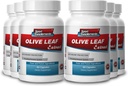 Sport-Ergänzungen Olivenblatt Extrakt Leistungsstarkes Antioxidans, Immunsystem Gesundheit 500mg (6 Flaschen, 360 Kapseln)