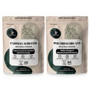 Dschungelpulver Fadogia Agrestis Pulver für Männer 50:1 313 Servierungen, Schwarzer Ameisenextrakt 30:1 94 Servierungen 5oz, traditionelle Mens Health Support für Drive & Passion