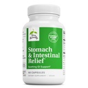 Terry Naturally Stomach & Intestinal Relief - Ergänzung zur Hilfe Verdauungs-Gesundheit & Darm Futter - Aids Against Occasional Digestive Discomfort to Soothe Stomach - 60 Kapseln
