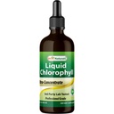 Beste Natürliche flüssige Chlorophyll Tropfen - 50 mg - 120 Portionen pro Glasflasche - 2 FL OZ