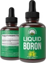 Liquid Boron Supplement für Männer und Frauen. Gemint in den USA. Vegan + Ionic Trace Mineral Tropfen mit hoher Bioverfügbarkeit für Knochen, Joint Health. Null Zucker, kein Bitter Geschmack. Boron Complex Ergänzungen