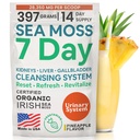 Atlantic Naturals Sea Moss 7 Day Detox Liver, Gallbladder & Kidney Cleanse - Unterstützung mit Dandelion Root, Milk Thistle, Burdock Root, Red Clover, Chanca Piedra - Ananas Flavor Drink Mix (14 oz)