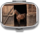 Square Pille Case 2 Kompartment Barn Horse Pille Box Mini Medizin Pille Organizer Portable Reise Pille für Pocket Purse Metall Pille Behälter für Vitamine Fish Oil Supplements