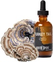 North Spore Organic Turkey Tail Tincture | Pilzergänzung für Immun-Wellness | Sustainable Grown & bestätigt für Potency | Trametes Versicolor Extract | Vegan, Non-GMO - 2oz