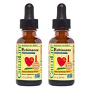 CHILDLIFE ESSENTIALS Echinacea für Kinder - Kinder Echinacea Tropfen, Flüssige Tinktur, Alkoholfreie Ergänzung für Babys, Kleinkinder, Kinder - Natürliche Orange, 1 Fl Oz (Pack von 2)