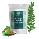 Moringa Blätter Pulver Oleifera Blatt Shigru Groß in Getränken und Glätten 16 Unze