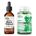 Wild & Organic Black Walnut Tinture 2 fl oz & Chlorophyll Gummis 60 Count
