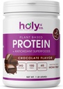 Heilige & Co. Pflanzenbasierte Proteinmischung Shake, Glutenfreie Schokolade Flavored, Kosher, für Männer und Frauen, 2 Billion Probiotics, Monk Fruit Sugar- 16 oz (1 LB)