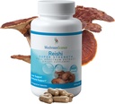 MushroomScience Reishi Mushroom Capsules, Super Strength Full Spectrum Extract, Natural Mushroom Supplement für Erwachsene, Hot Water Extracted Pilze, Health Support, Vegetarisch, 400MG, 90 CT