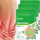 Lumbar Health Patch (36 PCS/3 Tasche)