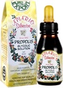 Brazilian Green Propolis Glycolic Extract - Immun Booster/Sore Throat/Oral Care/Antioxidant/CardioGesundheit - Importiert aus São Paulo, Brasilien- 1 Flasche