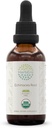 HerbEra Echinacea Root B60 USDA Organic Tincture | Alkoholfreier Extrakt, hochkarätige Kräutertropfen, Immunsystem Gesundheit | Certified Organic Echinacea Root (Echinacea Purpurea) Getrocknete Wurzel (2 fl oz)