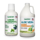 Land Art Aloe Vera Trinkwasser Gel - Orange Tangerine Flavored - Kaltverfertigt - Organische Frische Blätter - 64floz + flüssige Chlorophyll Mint Flavored - Kalt Aus Wild Non-GMO Alfalfa - 16floz