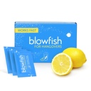 Blowfish for Hangovers - Fast Hangover Relief in 15 Minuten | Kopfschmerzen Relief, Energie und Hydration in einem Schritt | Single Box