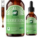 Berberine HCL Ergänzung mit Ceylon Cinnamon - Liposomal Berberine Phytosome Liquid Tropfen mit Turmeric, Ceylon Cinnamon, Bitter Melon, Milk Thistle, AMPK-Aktivator für Verdauungsunterstützung