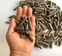 Smart Beet Pellets für Futter - Pferd, Pony, Ziegen, Rinderfutter - Gut für Brain Gesundheit und natürliche Süßungsmittel (12 Unzen)