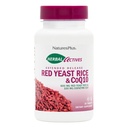 NaturesPlus Kräuter-Aktive Red Yeast Rice + CoQ10 Erweiterte Veröffentlichung - 30 Tabletten, Paket von 2 - Antioxidans + Unterstützt General Well-Being - Vegetarisch, Glutenfrei - 60 Gesamt Servietten