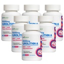 Urolithin Eine Ergänzung 1700mg 6Pack