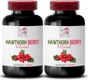 Hawthorn Extrakt Ergänzung - HAWTHORN BERRIES EXTRACT - Beerenergänzung, Antioxidans Ergänzung für Frauen, Antioxidans Beeren, Bio Hawthorn Beeren Extrakt, Antioxidantien für Frauen 2 Bot 120 Caps