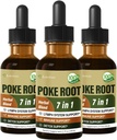 Poke Root Extract Tropfen für Lymphsystem Unterstützung, Lymphatic Drainage Supplement für Lymphödem, 7 in 1 Formel mit Goldenseal für Immununterstützung, Dandelion für Detox & Cleanse. 6oz