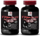 Natural Stamina Boost - TRIBULUS TERRESTRIS Extract - Kraft- und Aktivitätsunterstützung, Energieoptimierungsformel, Pflanzenbasierte Leistung, Körperleistungsmischung, aktive Erholung, Energiefluss 2Bot 180Tabs