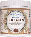 Grow Young Fitness Collagen Protein - Milchschokolade, fördert Haut, Knochen, Gelenke, Gewichtsverlust, Zuckerfrei (12.41 oz) (1 Packung, 20 Portionen)