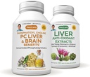 ANDREW LESSMAN PC Liver und Brain Vorteile + Liver Anti-Oxidant Extrakt Kit: 300 Kapseln (180+120) - Phosphatidyl Choline, Milchdistel, Artichoke, Curcumin.