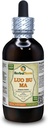 Luo Bu Ma, Dogbane (Apocynum Venetum) Tincture, Dried Leaf Liquid Extract (Markenname: HerbalTerra, Proudly Made in USA) 4 fl.oz (120 ml)