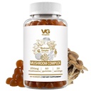 VITA GLOBE Mushroom Complex Gummis – 250mg mit Reishi, Lion’s Mane, Chaga, Cordyceps & More | Tägliche Ergänzung für Immunabwehr, Energie & Gehirn Funktion Unterstützung – 60 Count (Pack von 1)