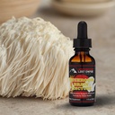 Lost Empire Kräuter Pilz Gehirn Spagyric Tincture | Dual Extract of Lion's Mane, Cordyceps, Reishi, Oyster Pilze für Kognition (1 fl oz)