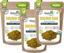 Naturefi Organic Goldenseal Wurzelpulver - 10,5 oz, 300 Servierungen *USDA Organic | Lab Tested* Reine natürliche Goldenseal Wurzelpulver-Ergänzung