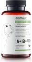 animaux – Nährstoffe 365 für Hunde, All-Natural Vitamine, Gesundes Immunsystem, Vitalität, Gesunde Haut, Glänzende Mantel, Raw-Feeding, Welpen, Hunde mit Allergien, 60 Kautabletten, 60 Tage Versorgung