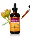 Herb Pharm Certified Organic Rhodiola Root Extract für Energie, Endurance und Stamina, Alkoholfreies Glycerit, 4 Unze
