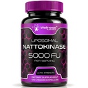 Nattokinase Supplement Capsules 5000 FU, Third-Party Tested Nattokinase – Enzyme aus Japanischer Natto – Daily Wellness Support – 120 Count (Pack von 1)