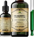 Chlorophyll Liquid Drops – Organic Natural Detox & Cleanse Support – Boost Energy, Immunity & Metabolism – Vegan, Non-GMO, Mint Flavor, 2 Flavor – Sodium Copper Chlorophyllin Extract – Made in USA