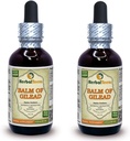 Balm von Gilead (Populus candicans) Tinkture, Organic Dried Buds Liquid Extract (Markenname: HerbalTerra, Proudly made in USA) 2x2 fl.oz (2x60 ml)