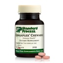 Standard Process Congaplex Chewable - Ergänzung zur Immunsystemunterstützung mit Vitamin A - Unterstützt Thymus Gland & Proteinsynthese - Non-Dairy & Non-Soy - 90 Tabletten (30 Portionen)