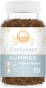 Cordyceps Mushroom Gummies - Kann Energie, Ausdauer und Stamina unterstützen - Tropical Mango Flavor - Vegan, Non-GMO, Glutenfrei, Gelatin Kostenlos - 60 Count