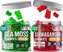 Irish Sea Moss & Ashwagandha Gummies - Ashwagandha Beilagen & Sea Moss Beilage für Erwachsene, Kinder - Irish Sea Moss Bladderwrack Burdock Root Ashwagandha - 60 Ashwagandha, 60 Irish Sea Moss Gummies