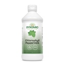 Dynamische Gesundheit Flüssigkeit Chlorophyll Peppermint 100 mg, Natrium Kupfer Chlorophyllins mit Alfalfa und Mulberry Blättern, Pflanzenreinigen und Deodorieren, Ohne Zusatz von Zucker, 16 Fl Oz