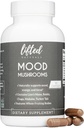 Mood Mushrooms - Aufgehobene Pilzergänzung - Lion's Mane, Reishi, Chaga, Turkey Tail, Maitake - Energie, Fokus, Stress Relief
