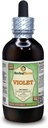 Violett (Viola Yedoensis) Getrocknete Kräuter Alkoholfreier Flüssigextrakt (Markenname: HerbalTerra, Proudly Made in USA) 4 Unze