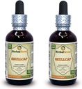Skullcap (Scutellaria Lateriflora) Tincture, Organic Dried Herb Liquid Extract (Markenname: HerbalTerra, Proudly Made in USA) 2x2 fl.oz (2x60 ml)