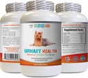 Dog Urinary Tract Support - Dog Urinary Health Formula - Hilft mit Inkontinenz und Blasenproblemen - Immune Boost - Corn Silk Pills für Hunde - 1 Flasche (90 Bäume)