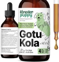 Forever Puppy Gotu Kola Drops für Hunde - Gotu Kola Extract & Centella Asiatica for Brain Health Support - Nahrungsergänzung für Hunde aller Rassen & Größen - 4 oz