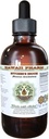 Butcher's Broom Alcohol-Free Liquid Extract, Organic Butcher's Broom (Ruscus aculeatus) Getrocknet Root Glycerite Hawaii Pharm Natural Herbal Supplement 4 oz