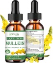 Mullein Tropfen für Lunge, leistungsfähige Lung Cleanse Detox für Raucher, Bio Mullein und Chlorophyll Tropfen für Lunge, Mullein Blattextrakt für Lung & Bronchia,Respiratory Health, Immune Boost 2 FL/OZ