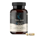 TERRA ORIGIN Gesundes Gut Reset PM | 60 Veggie Kapseln | Natürliche Schlafhilfe Ergänzung für Schlaf- und Wachzyklen | GABA, L-Tryptophan, Melatonin, L-Glutamin, Licorice Root, Slippery Elm Root